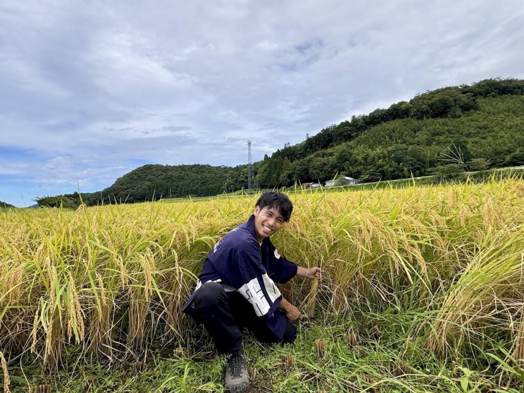 令和7年産【因幡】奇跡のお米 神宝米(かむたからまい)