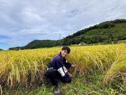 令和7年産【因幡】奇跡のお米 神宝米（かむたからまい）